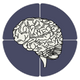 Illustration of a brain with a divided circle on a white background